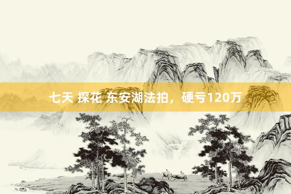 七天 探花 东安湖法拍,硬亏120万