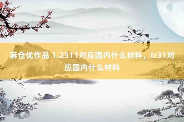 麻仓优作品 1.2311对应国内什么材料，tr31对应国内什么材料