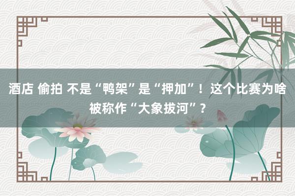 酒店 偷拍 不是“鸭架”是“押加”！这个比赛为啥被称作“大象拔河”？