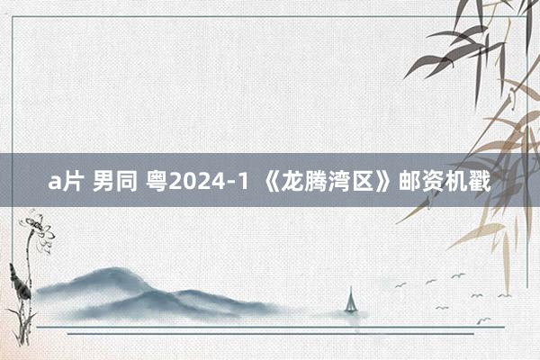 a片 男同 粤2024-1 《龙腾湾区》邮资机戳