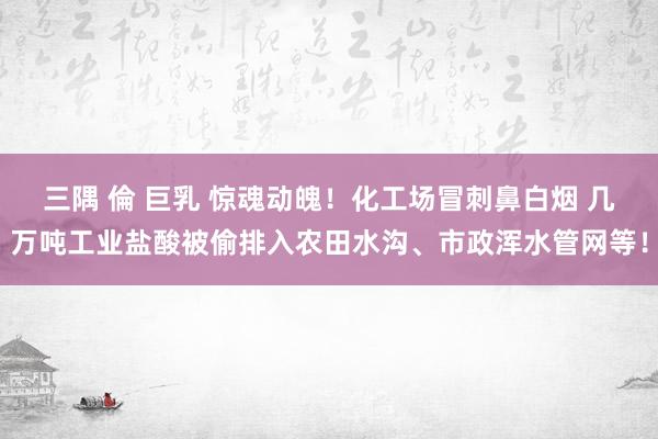 三隅 倫 巨乳 惊魂动魄！化工场冒刺鼻白烟 几万吨工业盐酸被偷排入农田水沟、市政浑水管网等！
