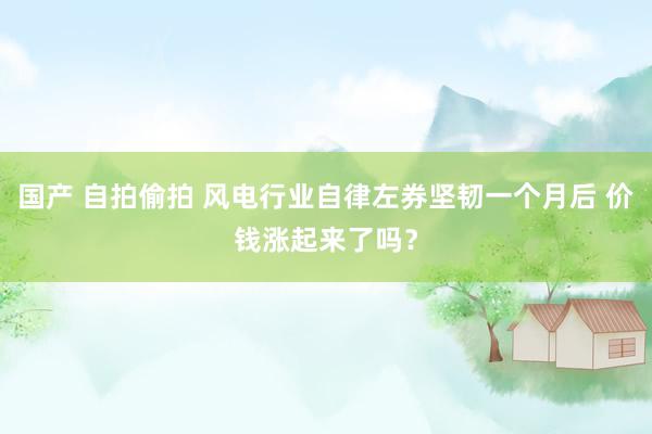 国产 自拍偷拍 风电行业自律左券坚韧一个月后 价钱涨起来了吗？