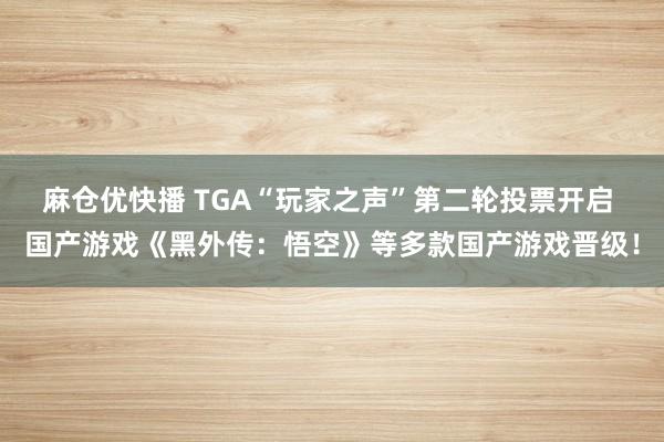 麻仓优快播 TGA“玩家之声”第二轮投票开启 国产游戏《黑外传：悟空》等多款国产游戏晋级！
