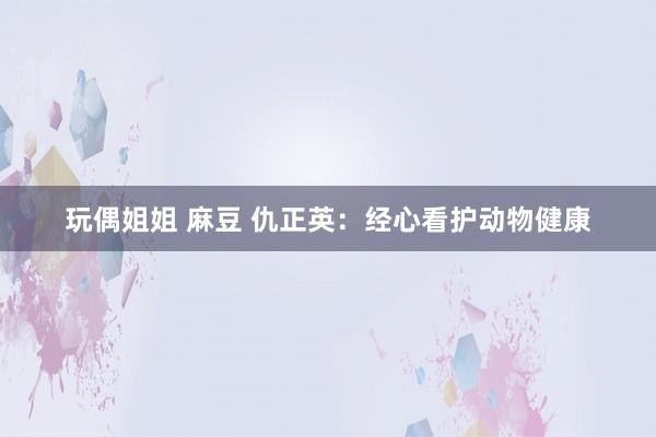 玩偶姐姐 麻豆 仇正英：经心看护动物健康