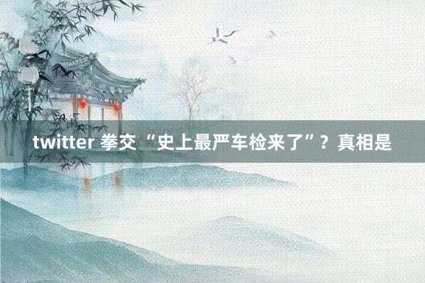 twitter 拳交 “史上最严车检来了”？真相是
