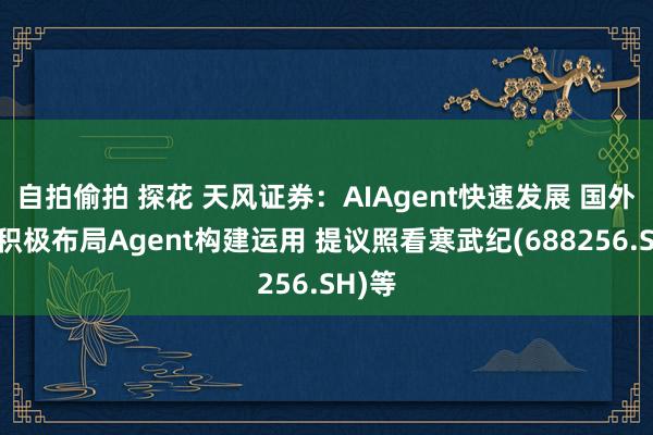 自拍偷拍 探花 天风证券：AIAgent快速发展 国外大厂积极布局Agent构建运用 提议照看寒武纪(688256.SH)等