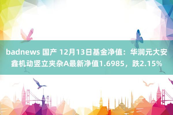 badnews 国产 12月13日基金净值：华润元大安鑫机动竖立夹杂A最新净值1.6985，跌2.15%