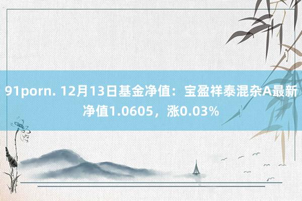 91porn. 12月13日基金净值：宝盈祥泰混杂A最新净值1.0605，涨0.03%