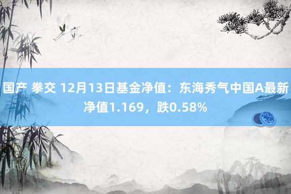 国产 拳交 12月13日基金净值：东海秀气中国A最新净值1.169，跌0.58%