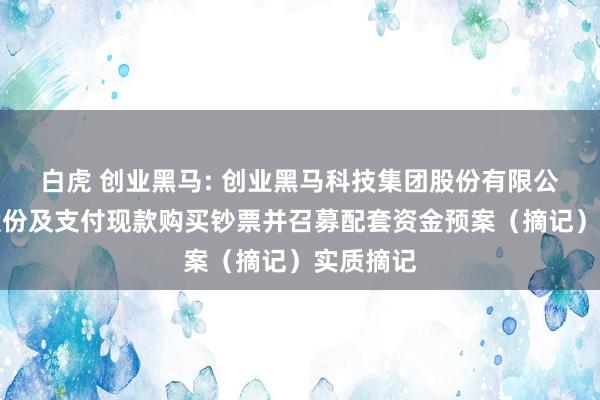 白虎 创业黑马: 创业黑马科技集团股份有限公司刊行股份及支付现款购买钞票并召募配套资金预案（摘记）实质摘记