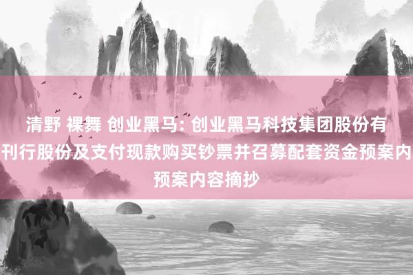 清野 裸舞 创业黑马: 创业黑马科技集团股份有限公司刊行股份及支付现款购买钞票并召募配套资金预案内容摘抄
