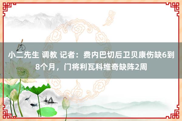 小二先生 调教 记者：费内巴切后卫贝康伤缺6到8个月，门将利瓦科维奇缺阵2周