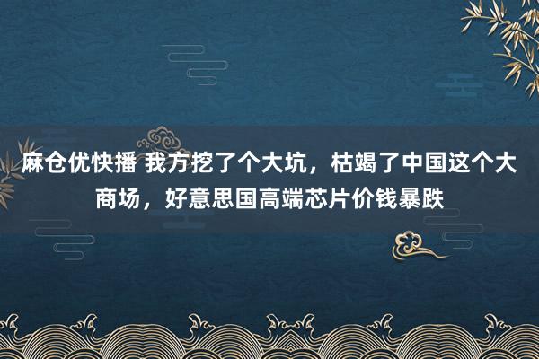 麻仓优快播 我方挖了个大坑，枯竭了中国这个大商场，好意思国高端芯片价钱暴跌