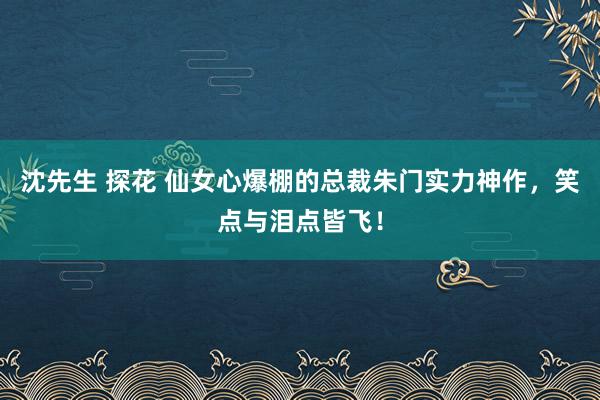 沈先生 探花 仙女心爆棚的总裁朱门实力神作，笑点与泪点皆飞！