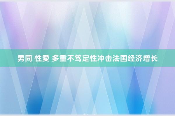 男同 性愛 多重不笃定性冲击法国经济增长
