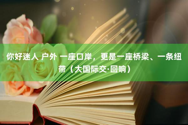 你好迷人 户外 一座口岸，更是一座桥梁、一条纽带（大国际交·回响）