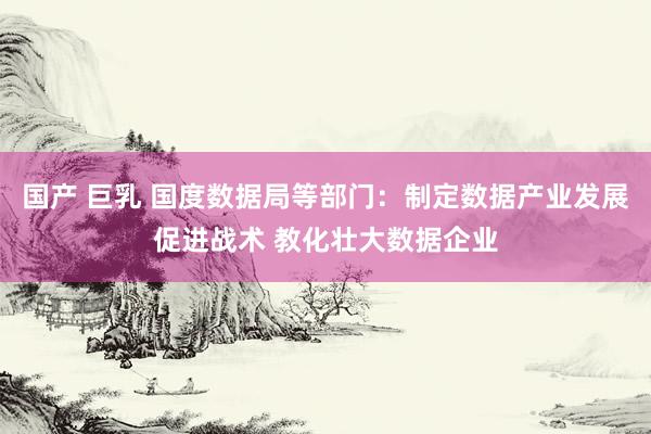 国产 巨乳 国度数据局等部门：制定数据产业发展促进战术 教化壮大数据企业