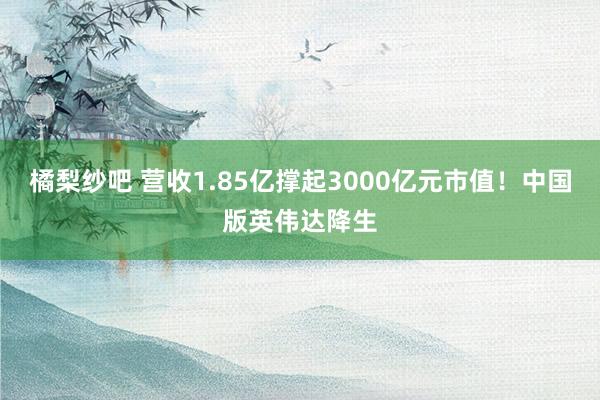 橘梨纱吧 营收1.85亿撑起3000亿元市值！中国版英伟达降生