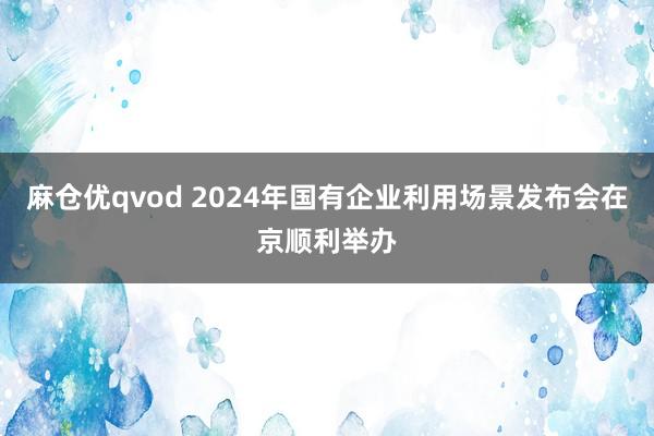 麻仓优qvod 2024年国有企业利用场景发布会在京顺利举办