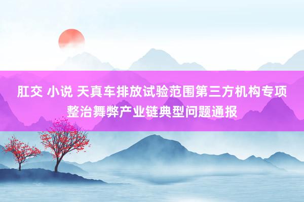 肛交 小说 天真车排放试验范围第三方机构专项整治舞弊产业链典型问题通报
