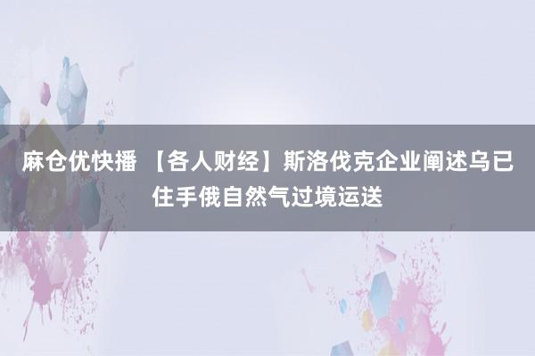 麻仓优快播 【各人财经】斯洛伐克企业阐述乌已住手俄自然气过境运送