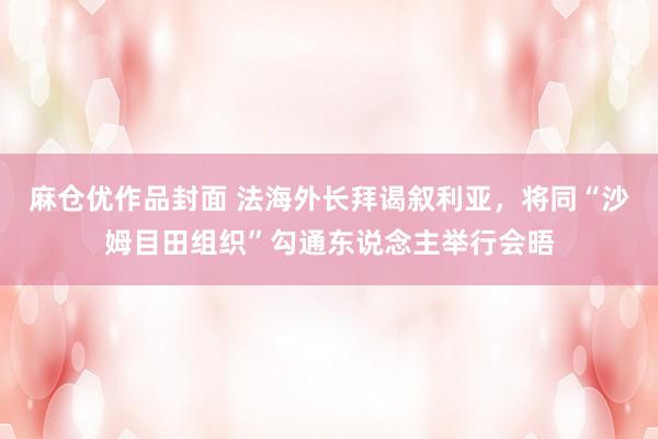 麻仓优作品封面 法海外长拜谒叙利亚，将同“沙姆目田组织”勾通东说念主举行会晤