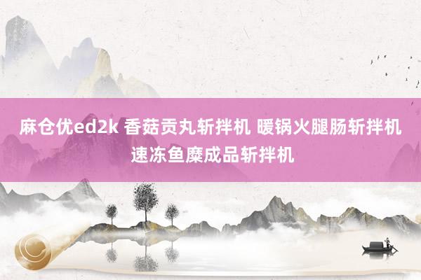麻仓优ed2k 香菇贡丸斩拌机 暖锅火腿肠斩拌机 速冻鱼糜成品斩拌机