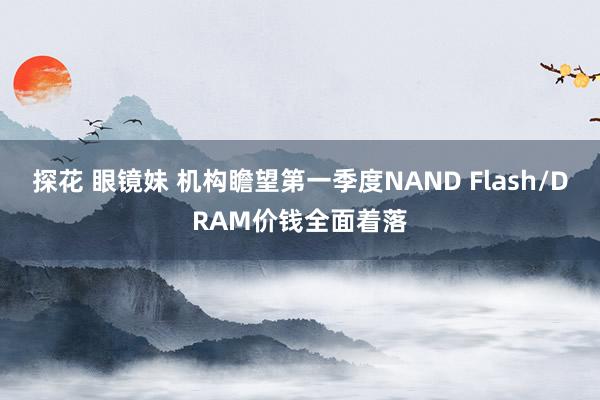 探花 眼镜妹 机构瞻望第一季度NAND Flash/DRAM价钱全面着落