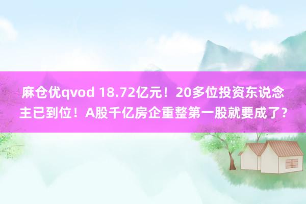 麻仓优qvod 18.72亿元！20多位投资东说念主已到位！A股千亿房企重整第一股就要成了？