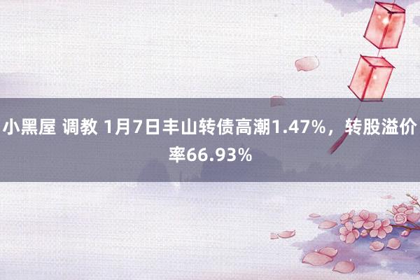 小黑屋 调教 1月7日丰山转债高潮1.47%，转股溢价率66.93%