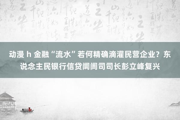 动漫 h 金融“流水”若何精确滴灌民营企业？东说念主民银行信贷阛阓司司长彭立峰复兴