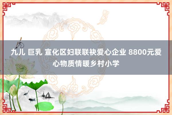 九儿 巨乳 宣化区妇联联袂爱心企业 8800元爱心物质情暖乡村小学