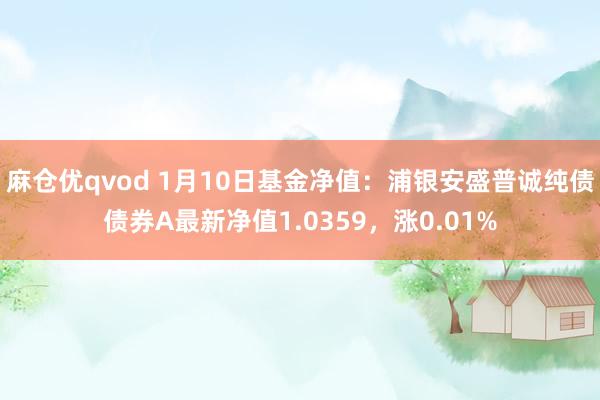 麻仓优qvod 1月10日基金净值：浦银安盛普诚纯债债券A最新净值1.0359，涨0.01%