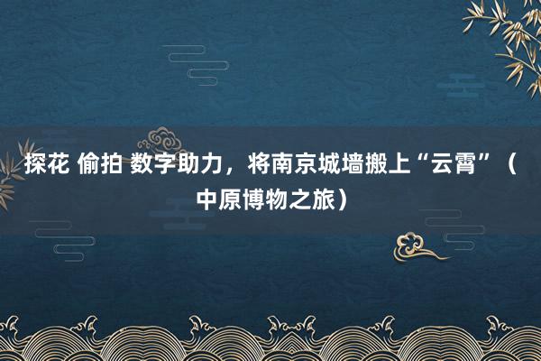 探花 偷拍 数字助力，将南京城墙搬上“云霄”（中原博物之旅）