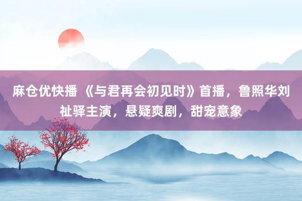 麻仓优快播 《与君再会初见时》首播，鲁照华刘祉驿主演，悬疑爽剧，甜宠意象
