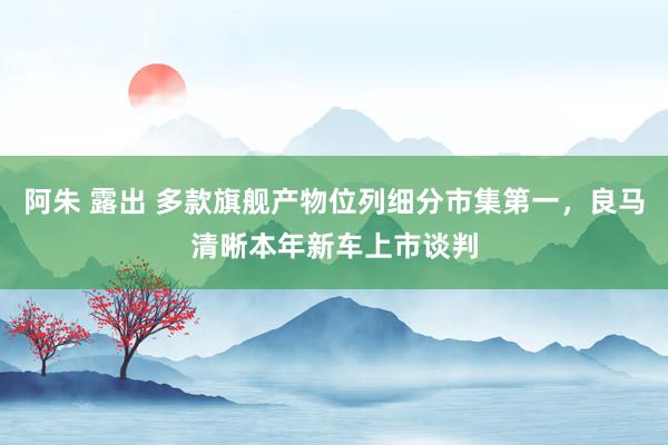 阿朱 露出 多款旗舰产物位列细分市集第一，良马清晰本年新车上市谈判