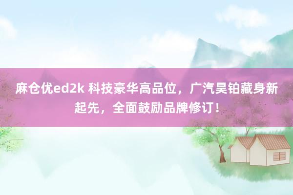 麻仓优ed2k 科技豪华高品位，广汽昊铂藏身新起先，全面鼓励品牌修订！