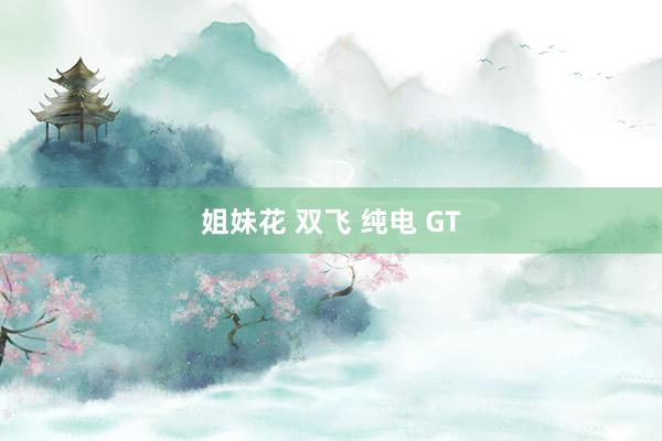 姐妹花 双飞 纯电 GT