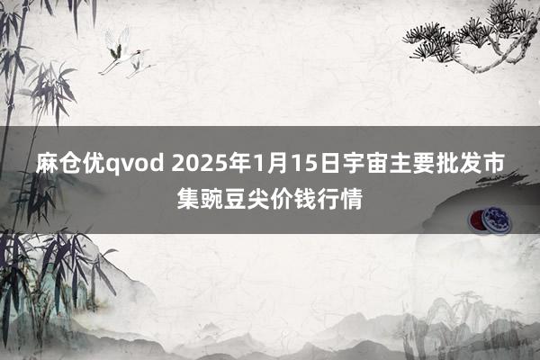 麻仓优qvod 2025年1月15日宇宙主要批发市集豌豆尖价钱行情