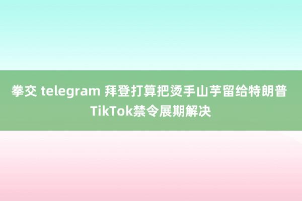 拳交 telegram 拜登打算把烫手山芋留给特朗普 TikTok禁令展期解决