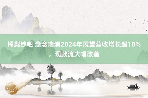 橘梨纱吧 念念瑞浦2024年展望营收增长超10%，现款流大幅改善