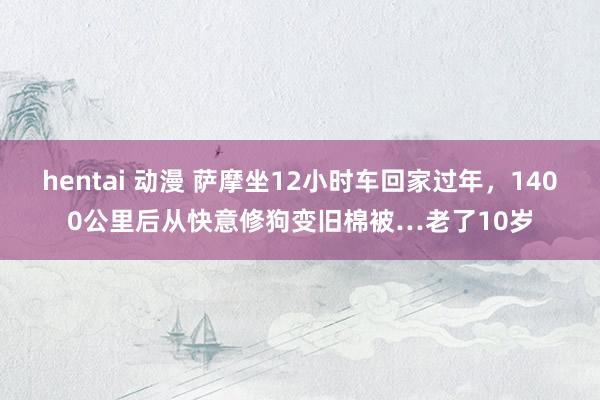 hentai 动漫 萨摩坐12小时车回家过年，1400公里后从快意修狗变旧棉被…老了10岁