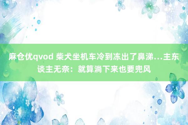 麻仓优qvod 柴犬坐机车冷到冻出了鼻涕…主东谈主无奈：就算淌下来也要兜风