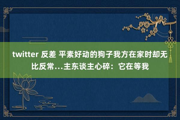 twitter 反差 平素好动的狗子我方在家时却无比反常…主东谈主心碎：它在等我