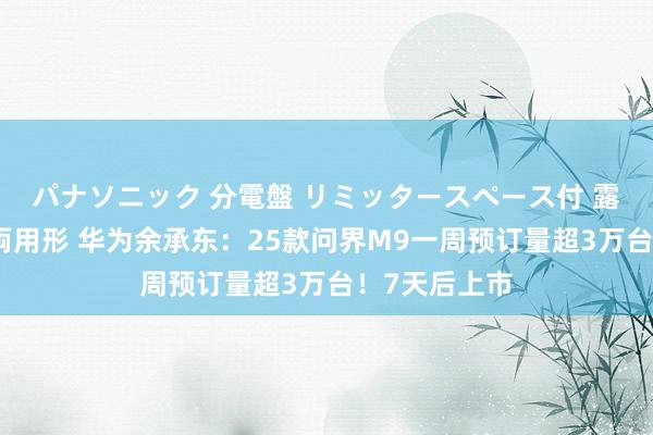 パナソニック 分電盤 リミッタースペース付 露出・半埋込両用形 华为余承东：25款问界M9一周预订量超3万台！7天后上市