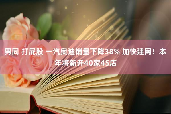 男同 打屁股 一汽奥迪销量下降38% 加快建网！本年将新开40家4S店