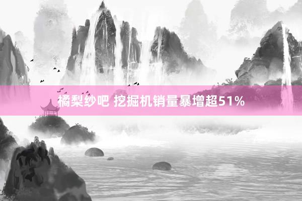 橘梨纱吧 挖掘机销量暴增超51%