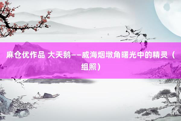 麻仓优作品 大天鹅——威海烟墩角曙光中的精灵（组照）