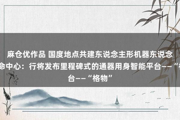 麻仓优作品 国度地点共建东说念主形机器东说念主革命中心：行将发布里程碑式的通器用身智能平台——“格物”