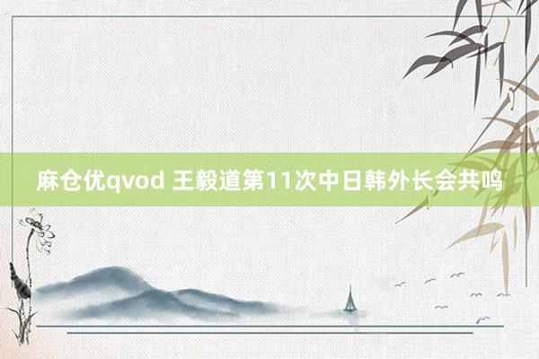 麻仓优qvod 王毅道第11次中日韩外长会共鸣